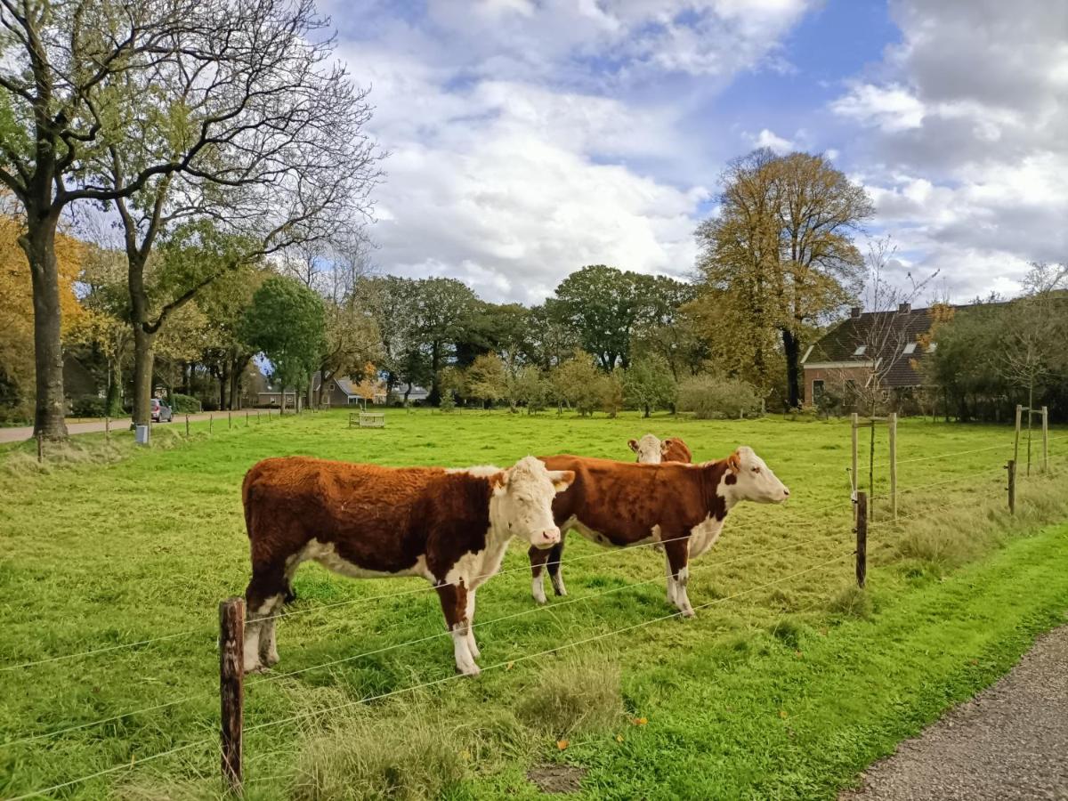 De Lindenhoeve Valthe Экстерьер фото